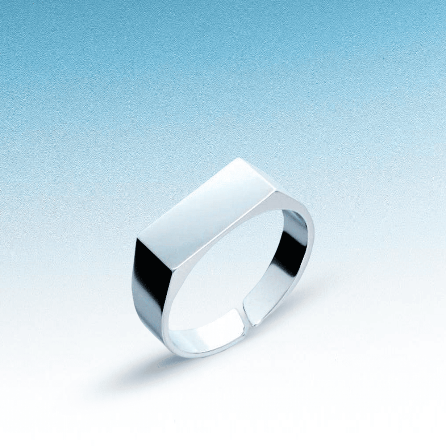 UNISIZE SIGNET RING